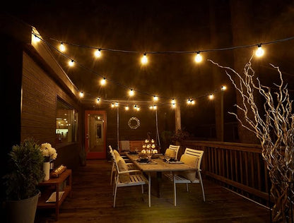 Bulbrite 25 ft, 15-Socket (E12) Decorative String Light Kit with Clear Incandescent (G12) Light Bulbs, 10 Watt, White
