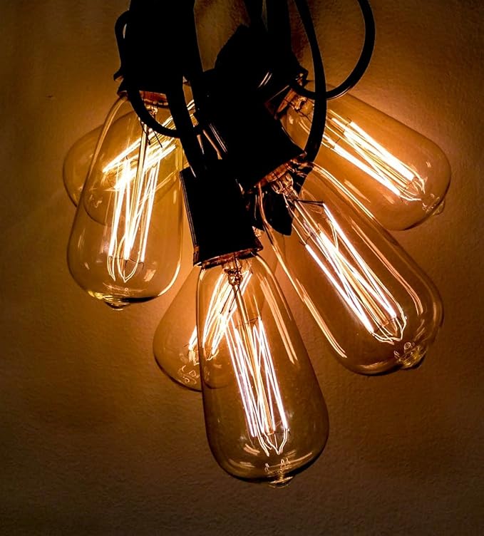Hometown Evolution, Inc. Edison Bulb Outdoor String Lights with Hand-Threaded Filament (ST40 Lantern Edison - Black Wire, 50 ft)