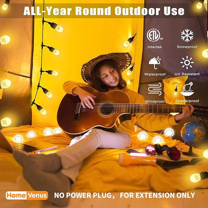 HVS Smart Outdoor String Lights (Without Power Plug ),LED 24Ft-12 Bulbs Tunable Dimmable Warm White Cafe Patio Lights,APP Control 2.4GHz WiFi Waterproof Acrylic Diamond Bulb Work with Alexa Google