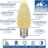 Novelty Lights 500CT Case Faceted Ultra Bright Dimmable Outdoor Christmas Light Replacement Bulbs Decorative LED | Lumora