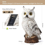 Solar Owl Garden Statues Outdoor Decor Resin Owl Figurine with LED Lights Owl Sculpture for Porch Patio Lawn Yard | Lumora