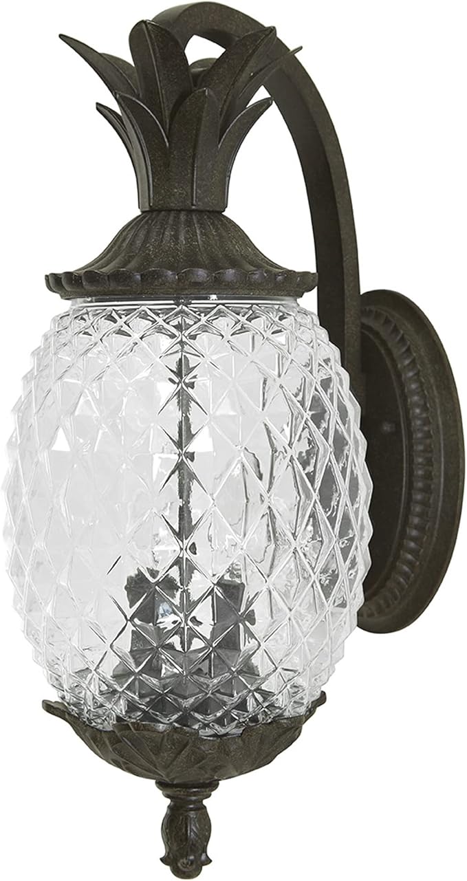 Acclaim 7502BC Lanai Collection 2-Light Wall Mount Outdoor Light Fixture, Black Coral