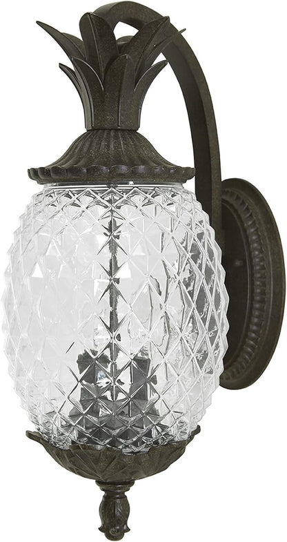 Acclaim 7502BC Lanai Collection 2-Light Wall Mount Outdoor Light Fixture, Black Coral
