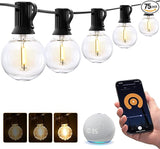 XMCOSY+ Smart Outdoor String Lights, 150Ft G40 Globe Patio Lights with 75 LED Bulbs, WiFi & APP Control, Work with | Lumora