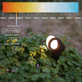 Low Voltage Spotlights 2PK 3W MR11 LED Floodlights 12V AC Outdoor Spot Lights Landscape Lighting Kit 200 Lumens | Lumora