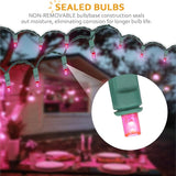 100 Counts Pink LED Christmas Lights – 50ft 5mm Pink Valentine's Day Lights Outdoor Commercial Grade Waterproof | Lumora