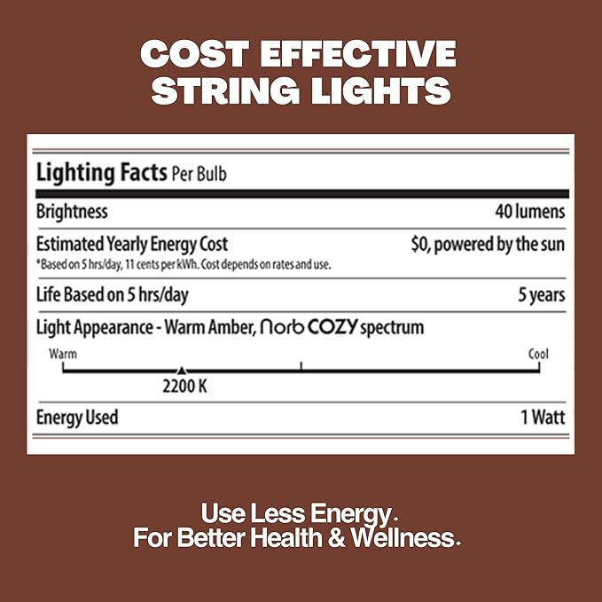 Norb Solar String Lights Outdoor 35FT – NorbSOLAR Weatherproof LED Patio Lights with Warm Candle-Like Glow, Shatterproof Vintage Bulbs, Solar Powered & Energy-Efficient, Outdoor & Event Use