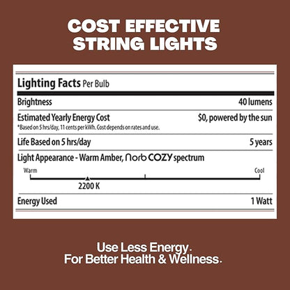 Norb Solar String Lights Outdoor 35FT – NorbSOLAR Weatherproof LED Patio Lights with Warm Candle-Like Glow, Shatterproof Vintage Bulbs, Solar Powered & Energy-Efficient, Outdoor & Event Use