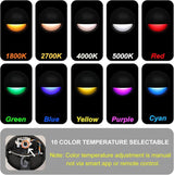 Outdoor RGB Fence Lights Wired, 3W 12V Wired LED RGB Color Changing Low Voltage Fence Lights for Outdoor Deck Post | Lumora