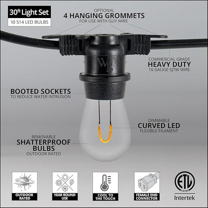 Wintergreen Lighting FlexFilament LED S14 Edison Bulb String Lights Commercial Indoor/Outdoor Edison Patio Lights (S14 Warm White Shatterproof Bulbs, 10 Lights, 30’)