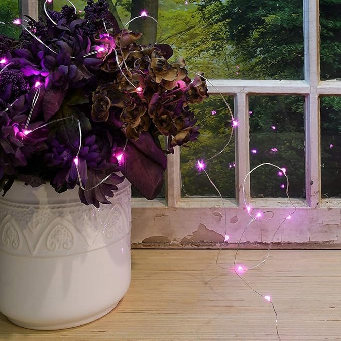 2 Pack Solar Powered Fairy String Lights Outdoor Waterproof 8 Modes Twinkle Christmas Decorations Lights, Each | Lumora