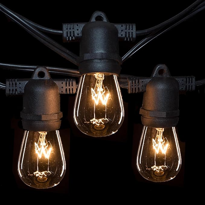 Hometown Evolution, Inc. 100 Foot Commercial Grade Outdoor String Lights (100 Foot 50 Socket, S14 11 Watt Clear | Lumora
