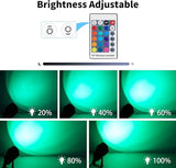 1500LM LED High Brightness Outdoor Landscape Lighting 15W RGB Color Changing Landscape Lights Remote Control | Lumora