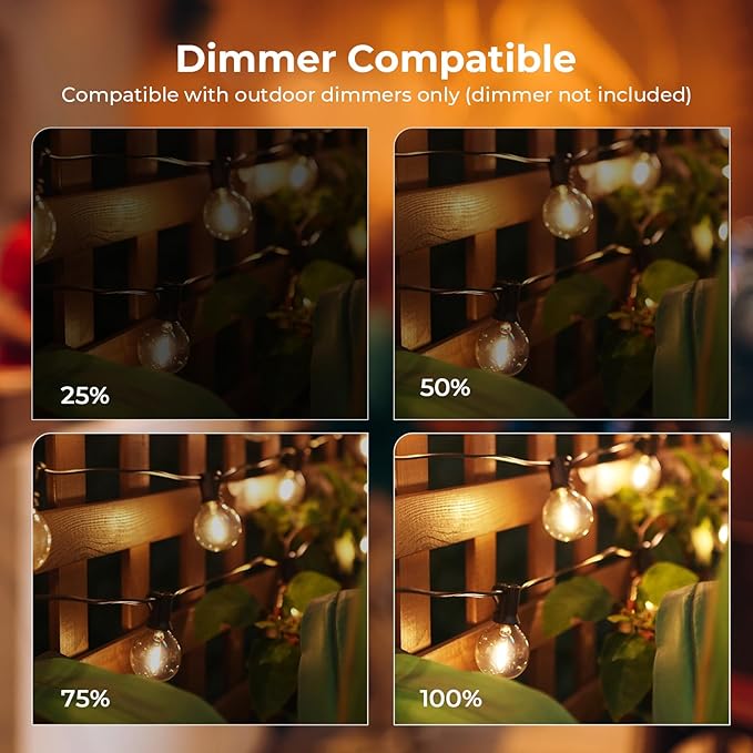 25FT G40 LED String Lights with 12 Plastic Edison Bulbs(2 Spare), Outdoor/Indoor Waterproof Lights for Patio, Garden, Wedding, Party, Festival Decoration