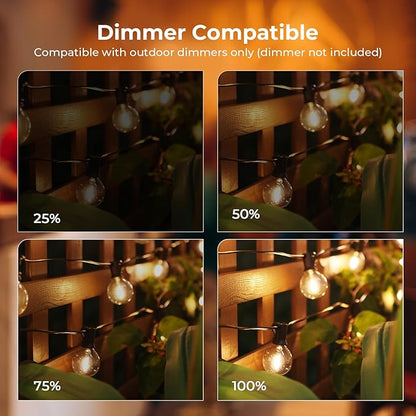 25FT G40 LED String Lights with 12 Plastic Edison Bulbs(2 Spare), Outdoor/Indoor Waterproof Lights for Patio, Garden, Wedding, Party, Festival Decoration