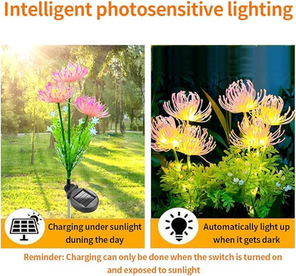 2 Pack LED Solar Flower Decorative Lights, 2-Mode Outdoor Courtyard Atmosphere and Garden Landscape Lights, Wireless Waterproof from Dusk to Dawn, Flower Gift Lamp for Ladies