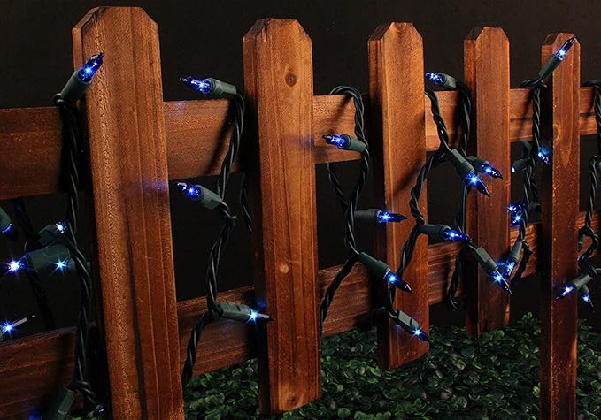 LAMPHOME 200L(100L*2pcs) Mini Lights, Green Wire,Blue