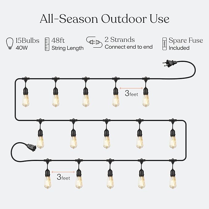 Brightech Ambience Pro Incandescent Outdoor String Lights - 48 Ft Dimmable Patio Light - 40W Commercial Waterproof Porch String Lights for Outside, Backyard - 15 Vintage Filament Bulbs, Warm White