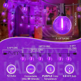 LAMPHOME G40 LED Outdoor Halloween String Lights, 26FT Patio Light with 12+1 Edison Shatterproof Bulbs(1Spare) | Lumora