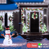 ZAIYW C9 Christmas String Lights 66ft 100 LED Strawberry Lights UL Plug C9 String Lights Green Wire Waterproof for | Lumora