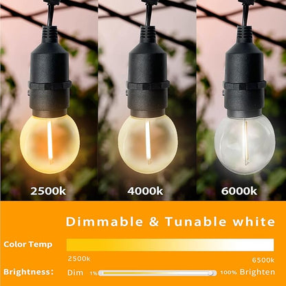 Homevenus Outdoor String Lights Waterproof G50 Smart Globe 48ft-18bulbs Dimmable Warm White App Control 2.4GHZ WiFi Alexa Google Patio Cafe Balcony Backyard Porch