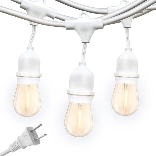 Brightech Bundle: Ambience Pro Waterproof LED Outdoor String Lights - Hanging, Dimmable 2W Vintage Edison Bulbs - White + Outdoor Dimmer Plug