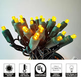 Christmas Lights LED Commercial Mini LED String Lights, 120V UL, Green Wire Xmas Lights for Indoor & Outdoor Use | Lumora