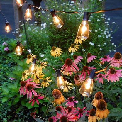 Couah Outdoor Patio String Lights,10Ft Edison Bulb String Lights for Patio Garden Porch Backyard Party Deck Yard(Plus 1 Extra Bulbs)-Black