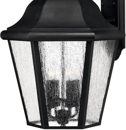Hinkley Edgewater Large Wall Mount Outdoor Lantern - Aluminum, Clear Seedy Glass, Traditional - Black Finish