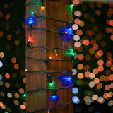 Novelty Lights 25 Feet 50 LED True Twinkle Multicolor Outdoor Christmas String, 100% Twinkle 5mm LED Lights on | Lumora