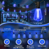 LAMPHOME 26Ft ST38 Outdoor String Lights, Blue Patio Lights with 12+1 ST38 Edison Bulbs, LED Shatterproof String | Lumora