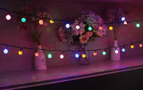 LAMPHOME 50 LED G20 String Light in 12.8ft,Indoor Outdoor Fairy String Light for Christmas,Party,Home,Patio | Lumora