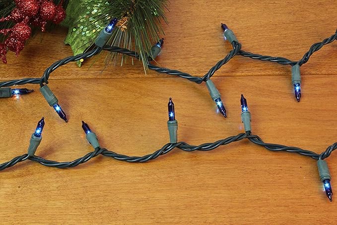 LAMPHOME 200L(100L*2pcs) Mini Lights, Green Wire,Blue