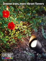 LEONLITE 8-Pack 5CCT Low Voltage LED Landscape Spotlight, Update 1800K2700K3000K4000K5000K Selectable, 5W 12V | Lumora