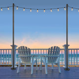 EXCELLO GLOBAL PRODUCTS Premium String Light Pole 4 Pack with 100' of LED Edison Bulb String - Outdoor Path Light | Lumora