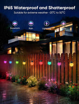 APPECK Outdoor String Lights 100FT, RGBW Smart Patio Lights with 111 Scene Modes, Christmas String Lights with 50 | Lumora