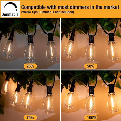 litogo Remote LED String Lights 60ft, Dimmable Edison Patio Lights, Waterproof Hanging String Light with 25+2 Warm White Shatterproof Bulbs for Yard Bistro Garden Party Christmas