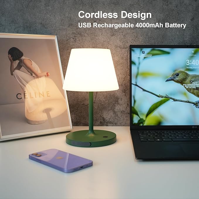 Outdoor Table Lamp/Cordless USB Rechargeable 4000mAh / 2700K LED/Touch Dimmable/Portable Battery Operated / IP44 Waterproof/PE Shade/Bedroom Dinning Camping Patio (Green, 9.6in)
