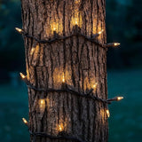 Novelty Lights 50 Feet 100 Bulbs Traditional Incandescent Mini Lights, Clear on Brown Wire with 6" Spacing | Lumora