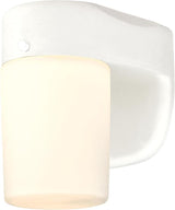 6106800 One-Light Dimmable LED Outdoor Wall Fixture with Dusk to Dawn Sensor, White Finish with Frosted Opal Glass | Lumora