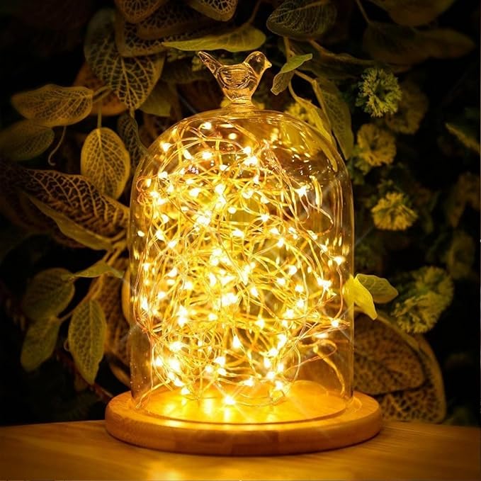 RUICHEN USB Plug in String Lights Silver Wire 33 Ft 100 LED Starry Fairy Lights with - Decorative Outdoor Light | Lumora