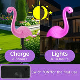 Solar Flamingo Lights 3 Pcs Set, Waterproof Solar Garden Lights Outdoor Decoration, Pink Flamingo Garden Decoration | Lumora