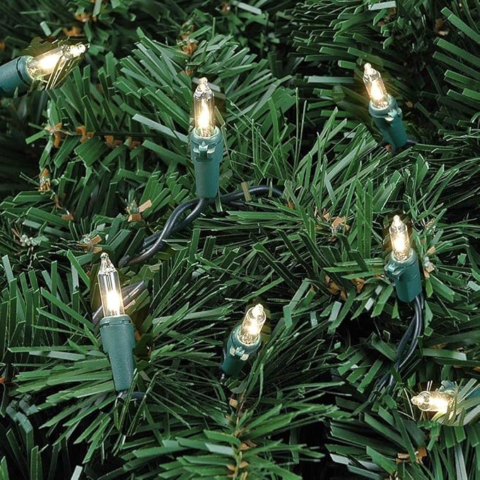 Novelty Lights 22 Feet 100 Bulbs Traditional Incandescent Mini Lights, Clear on Green Wire with 2.5" Spacing | Lumora