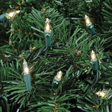 Novelty Lights 22 Feet 100 Bulbs Traditional Incandescent Mini Lights, Clear on Green Wire with 2.5" Spacing | Lumora