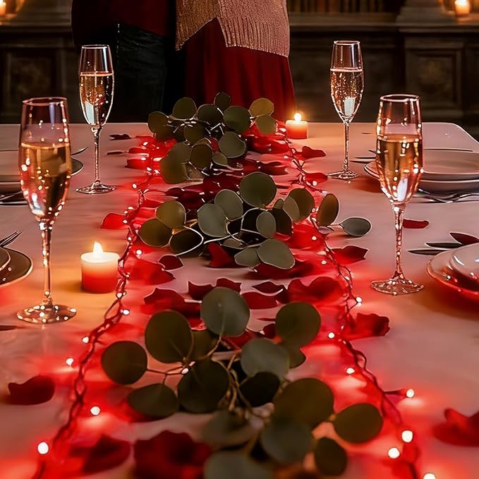 LAMPHOME Valentine’s Day Red String Lights Indoor, 100LED (2pk of 50L) Christmas Lights Outdoor Waterproof, Fairy Light Plug in for Party Carnival Supplies, Tree Wedding Xmas Yard Garden Decor