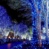 50 Count Wide Angle 5MM Mini LED Christmas Lights,Led String Lights for Outdoor and Indoor Christmas Trees | Lumora