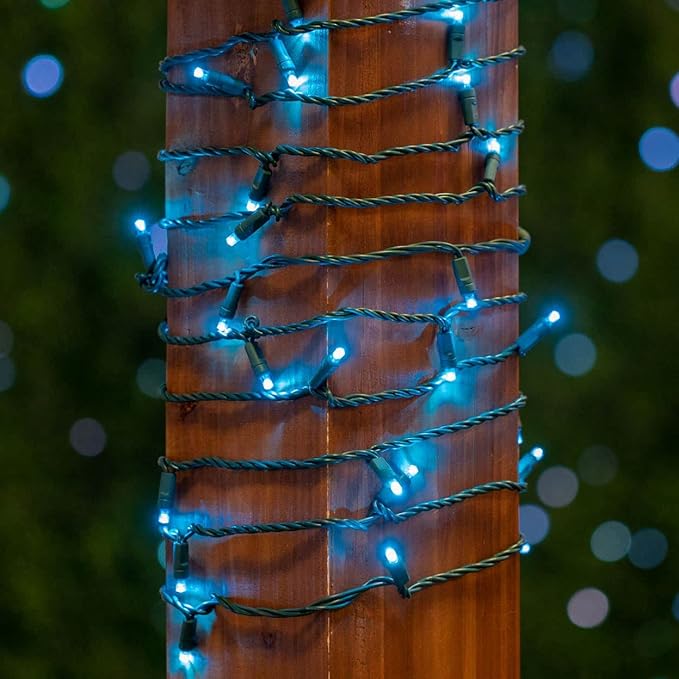 Novelty Lights 25ft 50 LED Teal Christmas Lights Outdoor/Indoor, 6" Spacing, Green Wire String Lights for Festive | Lumora