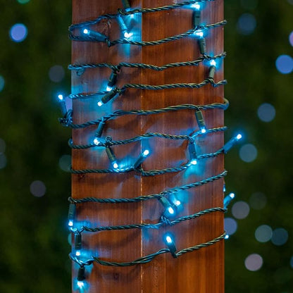 Novelty Lights 25ft 50 LED Teal Christmas Lights Outdoor/Indoor, 6" Spacing, Green Wire String Lights for Festive Xmas Lighting, IP55, UL Listed, Dimmable, Connectable