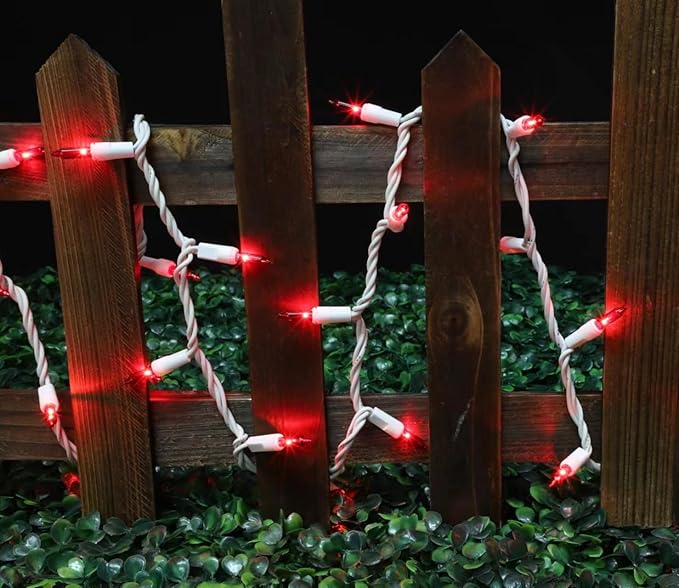 LAMPHOME Christmas String Light,100 Count Incandescent Mini String Light in 19.6ft,Indoor/Outdoor 120V UL Certified Mini Light for Christmas,Wedding,Patio Lawn,Home,Garden,Party (RED)