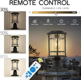 Emliviar 13 Inch Outdoor Solar Post Light, Dusk to Dawn Post Lighting Fixture with Remote Control, Removable Pier | Lumora